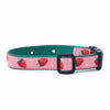 Underground Fence Dog Collar - Strawberry Fields