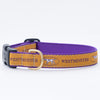 Westminster Gold Dog Collar