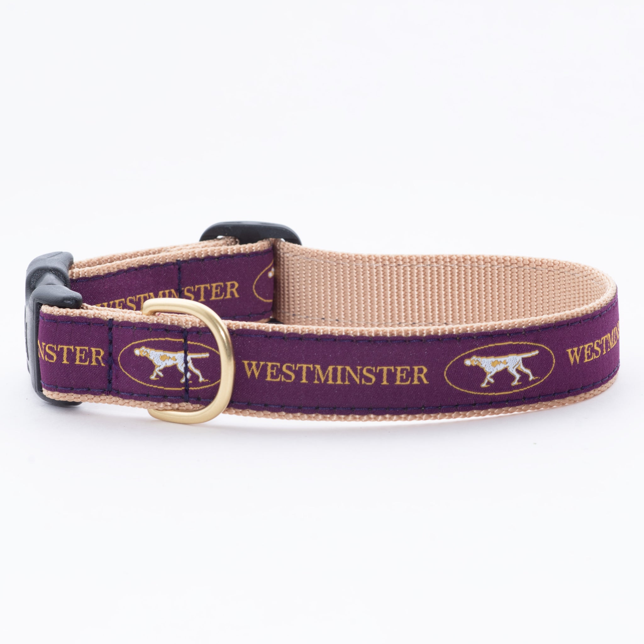 Westminster Purple Dog Collar