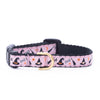 Witchy Small Breed Dog Collar