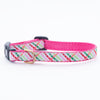 Gingham All the Way Small Breed Dog Collar