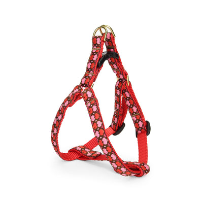 All Hearts Small Breed Dog Harness