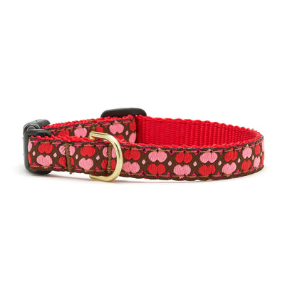 All Hearts Small Breed Dog Collar