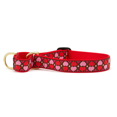All Hearts Martingale Dog Collar