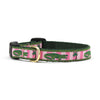 Alligator Small Breed Dog Collar