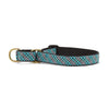 Aqua Plaid Martingale