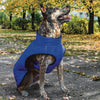 Basecamp Parka for Dogs