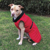 Basecamp Parka for Dogs