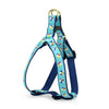 Beach Balls Dog Harness