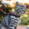 Best Cat Ever Cat Harness Set