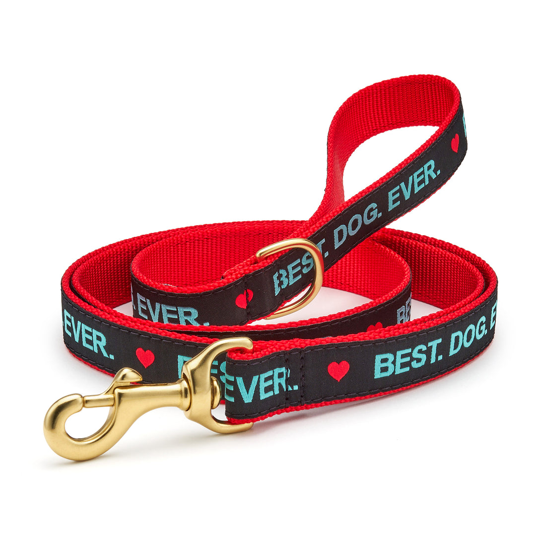 Best dog leads hotsell