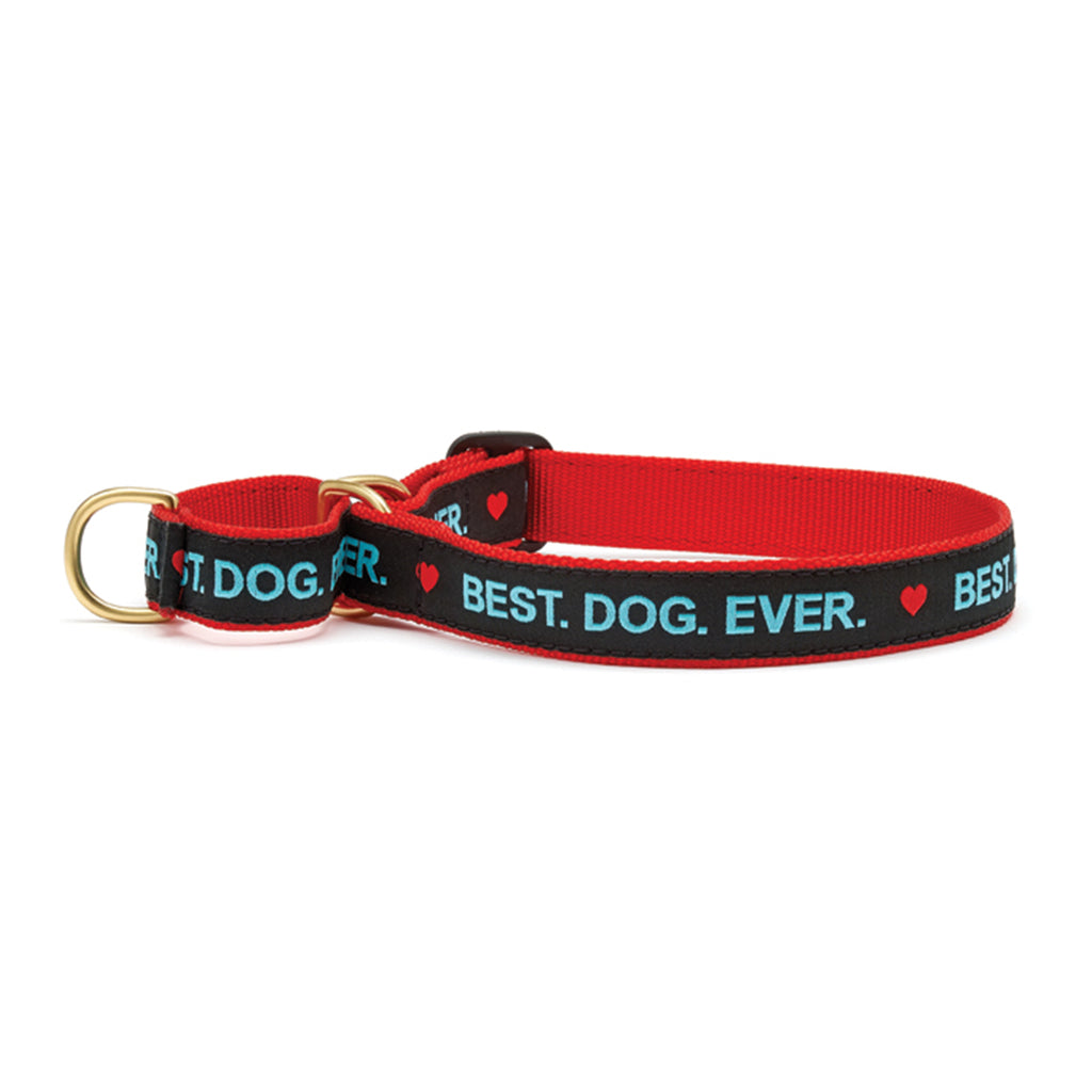 Best dog 2025 ever collar