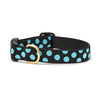 Black and Aqua Dot Dog Collar