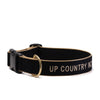 Color Market Dog Collar - Extra Wide 1.5"