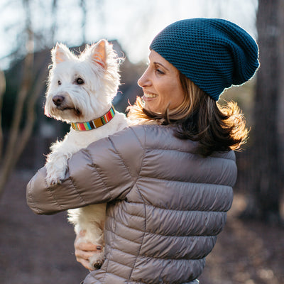 Brown Stripe Dog Collar