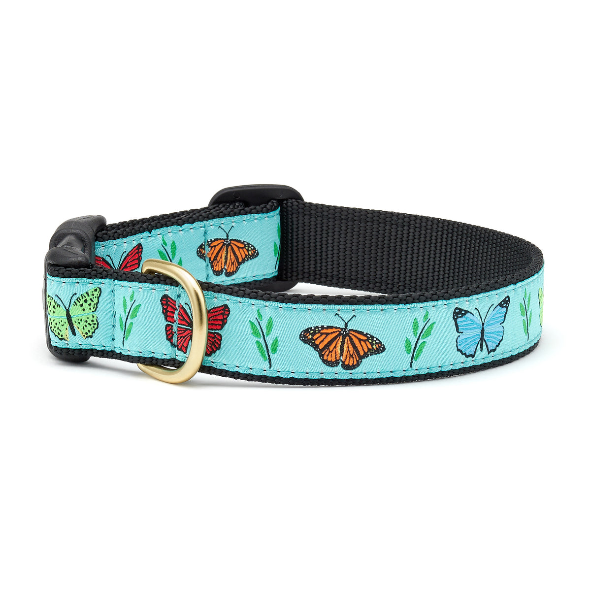 Up Country Butterfly Effect Dog Collar Up Country Inc