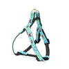 Butterfly Effect Small Breed Dog Harness