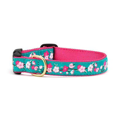 Cherry Blossoms Dog Collar Up Country 