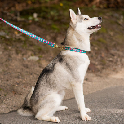 Cherry Blossoms Dog Lead