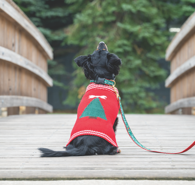 Dog Christmas Sweater