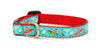 Cinco de Mayo Small Breed Dog Collar