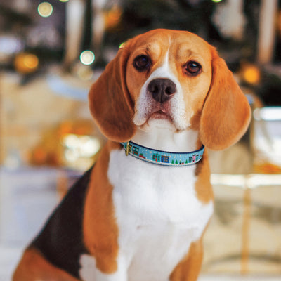 City Christmas Dog Collar