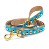 Coffee Nut Dog Lead