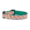 Coral Gables Dog Collar