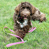 Coral Gables Dog Harness