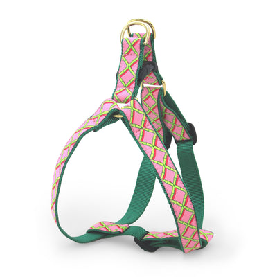 Coral Gables Dog Harness