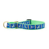 Dragonfly Martingale