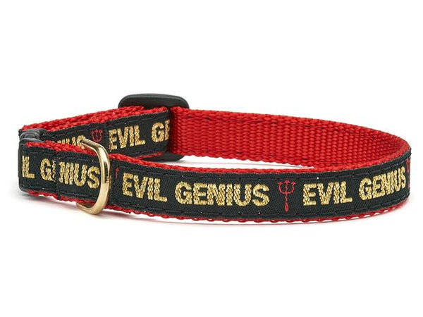 Evil Genius Cat Collar