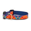 Feelin' Groovy Dog Collar