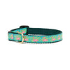 Flamingo Small Breed Dog Collar