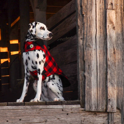 Buffalo Check Fleece Lined Coat