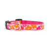 Flower Power Small Breed Dog Collar