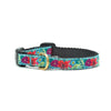 Flower Story Small Breed Dog Collar