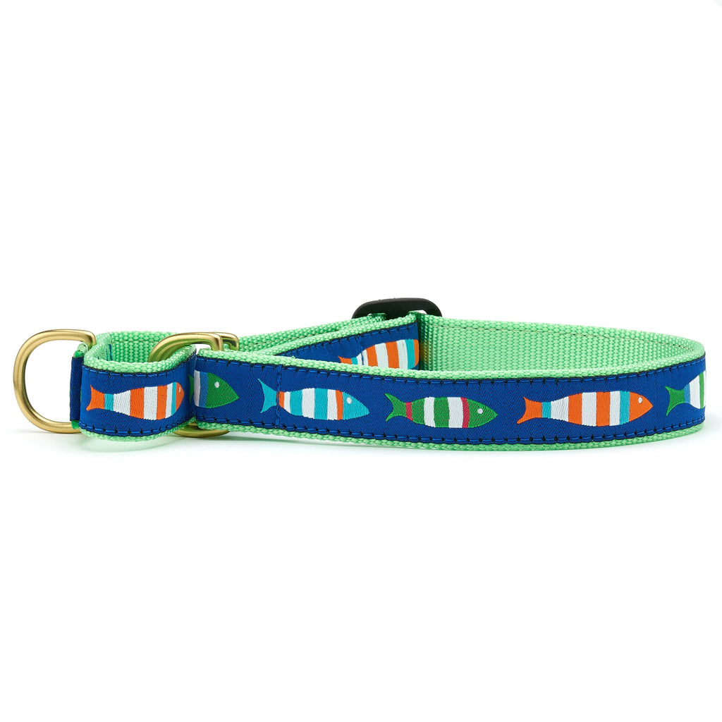 Funky new arrivals dog collars
