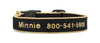 Color Market Dog Collar - Narrow