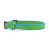 Color Market Dog Collar - Small Breed