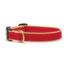 Color Market Dog Collar - Wide