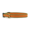 Color Market Dog Collar - Small Breed