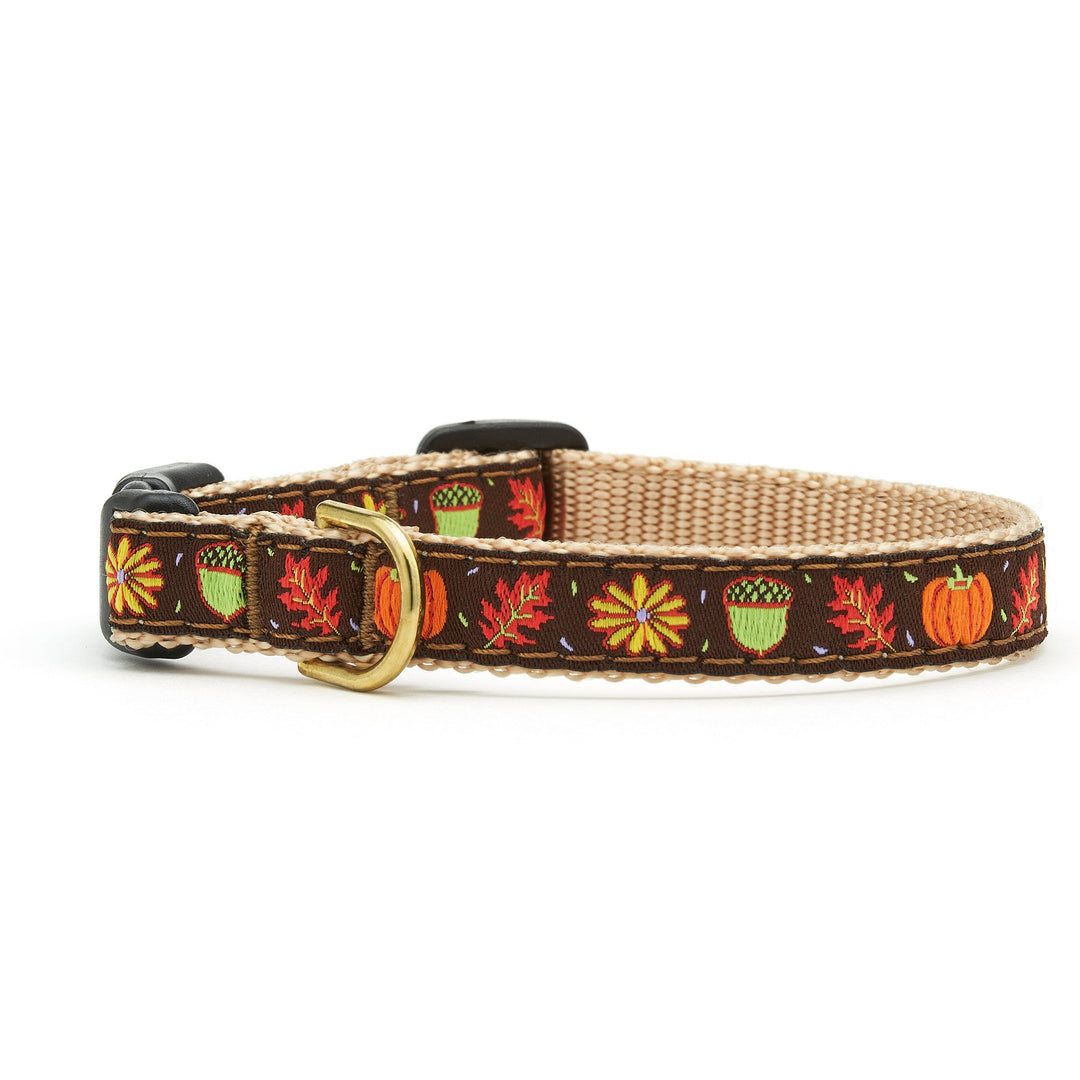 Up Country Harvest Time Small Breed Dog Collar Up Country Inc