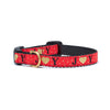 Joy Small Breed Dog Collar