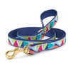 Kaleidoscope Dog Lead