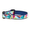 Kaleidoscope Dog Collar