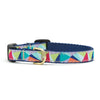 Kaleidoscope Small Breed Dog Collar