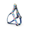 Kaleidoscope Small Breed Dog Harness