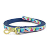 Kaleidoscope Small Breed Dog Lead