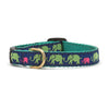 Leader of the Pach Small Breed Dog Collar